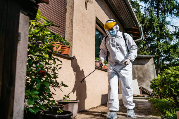 Wasp Removal Services in Lake Jackson, TX