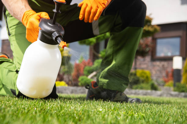 Best Pest Control Treatment  in Lake Jackson, TX