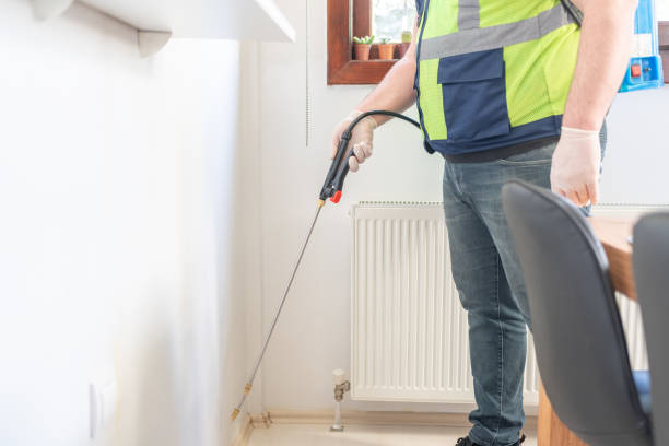 Best Rat Extermination Near Me  in Lake Jackson, TX